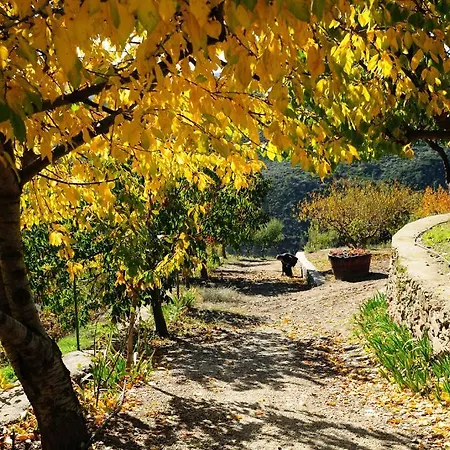 Vendégház Quinta Monte Sao Sebastiao *
