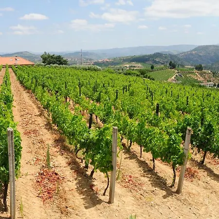 Quinta Monte Sao Sebastiao